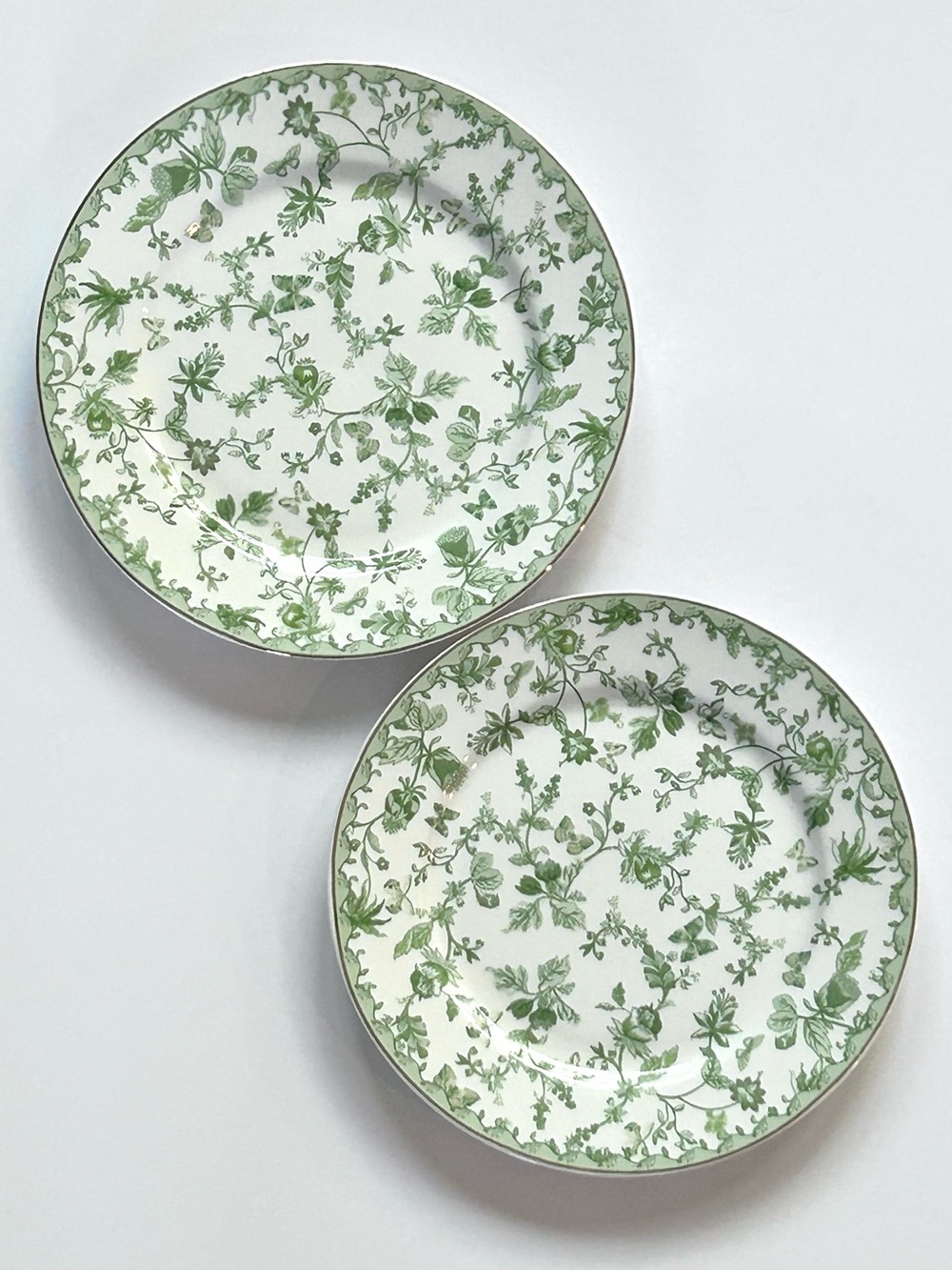 Monterey Bay Greeny Garden Collection 8” Fine Porcelain Dessert Plates Set of 2
